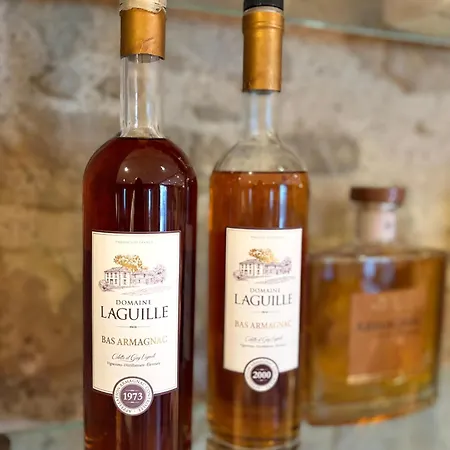 Logis La Ferme De Flaran Hotel