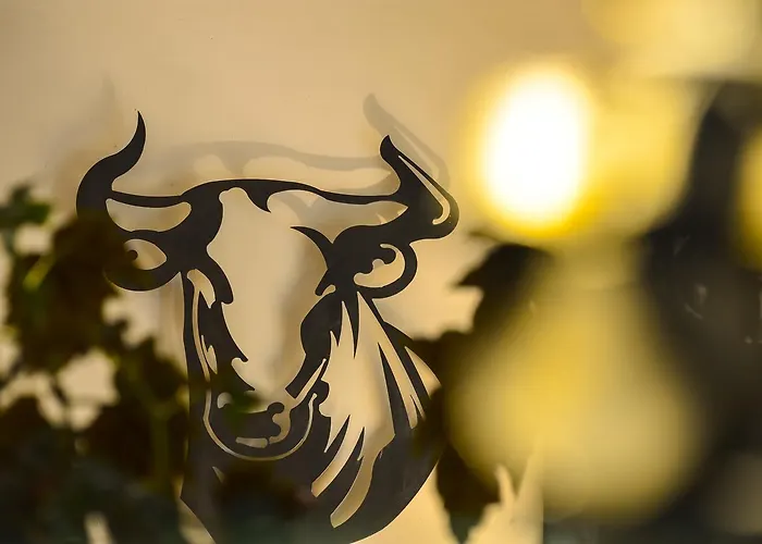 Logis La Ferme De Flaran 3* Maignaut